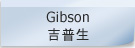 GE   GibsonNͪAȯ